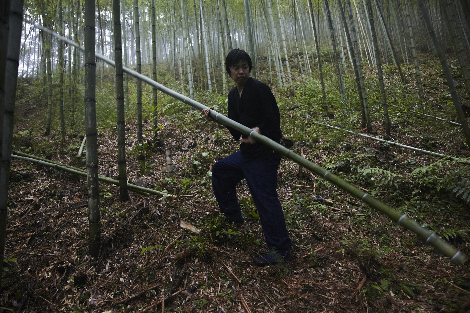 Chiku'unsai i bambusskogen
