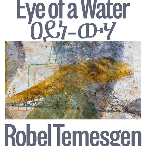 Robel Temesgen: Eye of a Water – ዐይነ-ውሃ Robel Temesgen: Eye of a Water – ዐይነ-ውሃ